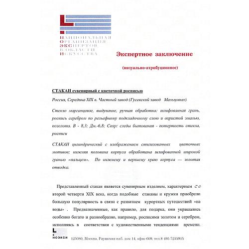 Экспертное заключение НОЭКСИ