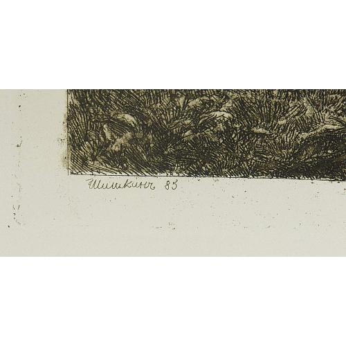 Офорт И.И.Шишкина «Чернолесье» 1885