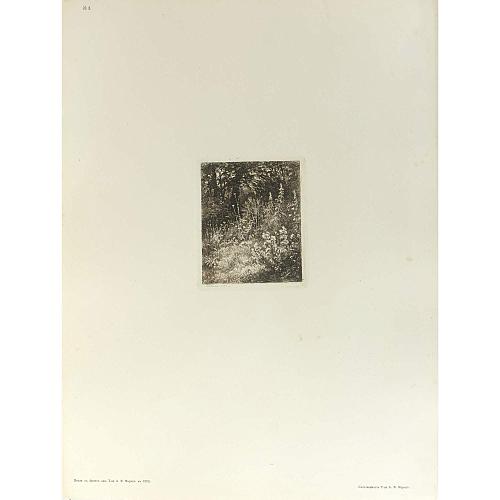 Офорт И.И.Шишкина «Лесные цветы» 1873