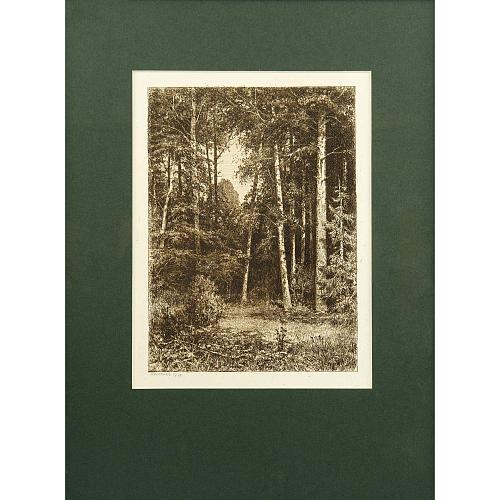 Офорт И.И.Шишкина «Полянка» 1885
