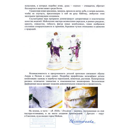 Экспертное заключение