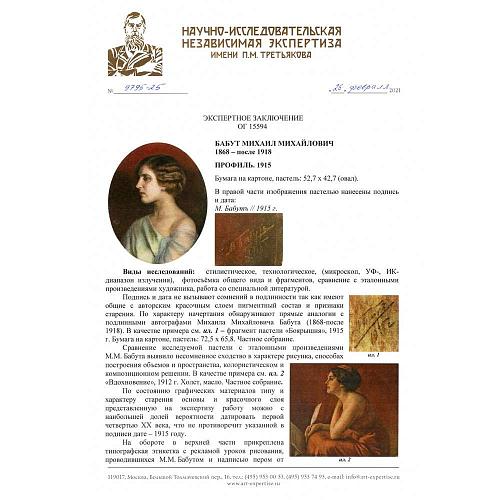 Экспертное заключение НИНЭ им. П.М.Третьякова