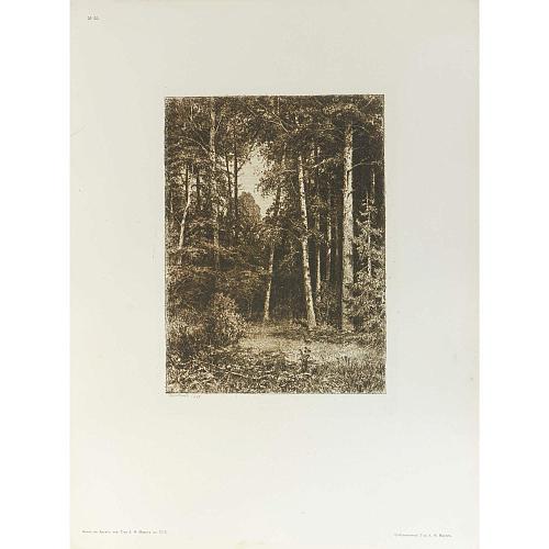 Офорт И.И.Шишкина «Полянка» 1885