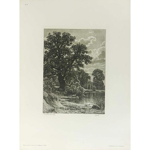 Офорт И.И.Шишкина «Дуб» 1886