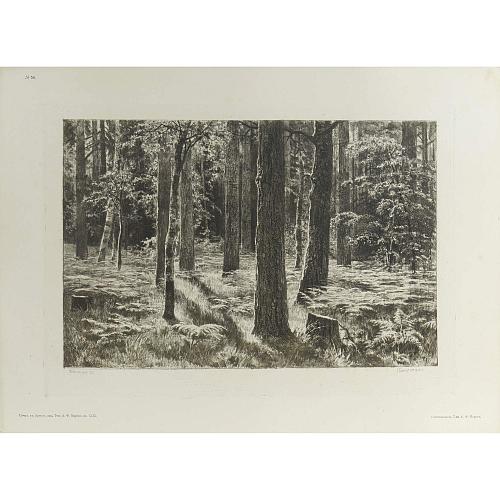 Офорт И.И.Шишкина «Папоротник» 1886