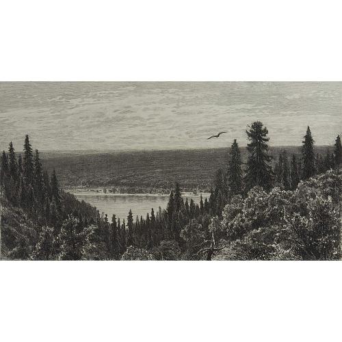 Офорт И.И.Шишкина «С берегов Камы близ Елабуги» 1885