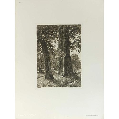 Офорт И.И.Шишкина «Три дуба» 1887