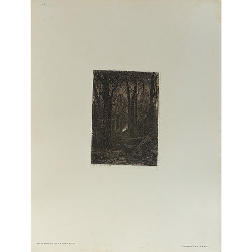 Офорт И.И.Шишкина «На порубке» 1873