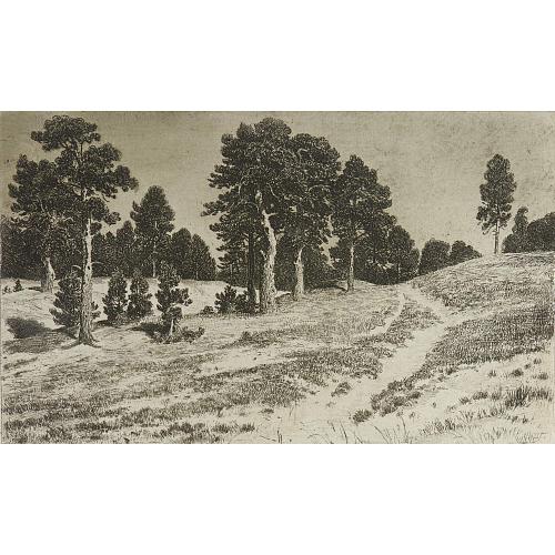 Офорт И.И.Шишкина «Пески» 1886