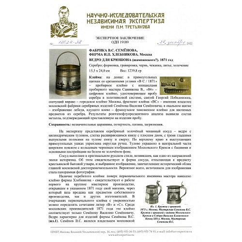 Экспертное заключение