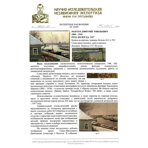 Экспертное заключение НИНЭ имени П.Третьякова.