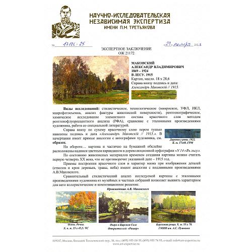 Заключение НИНЭ имени П. Третьякова.