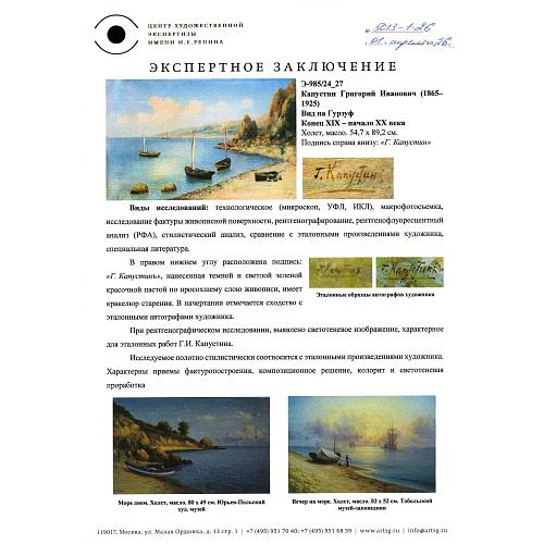 Экспертное заключение