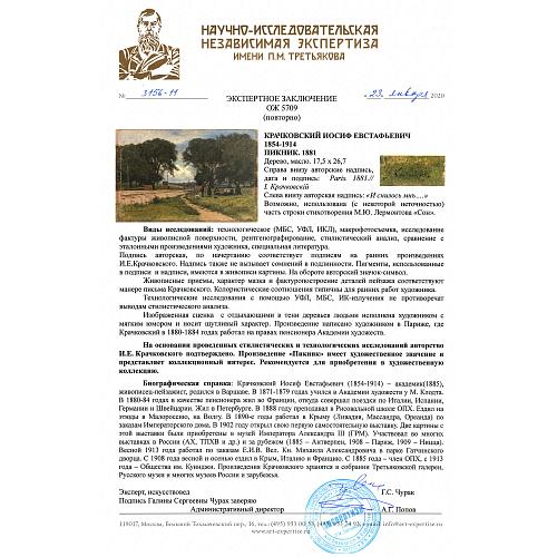 Экспертиза НИНЭ имени П. Третьякова