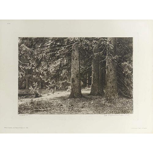 Офорт И.И.Шишкина «Задворье» 1886
