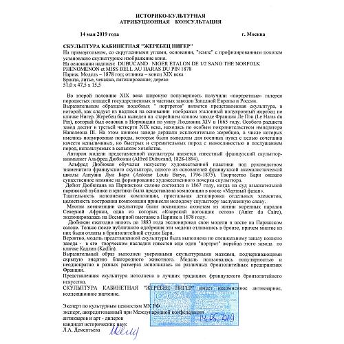 Экспертное заключение МК РФ Дементьева Л.А